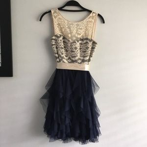 Lace & Chiffon Dress